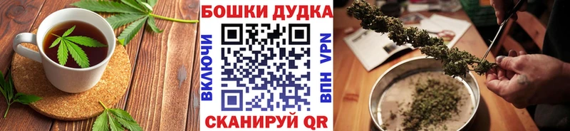 Canna-Cookies марихуана  Чудово 