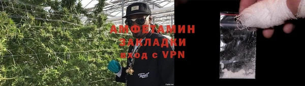 прущие грибы Баксан