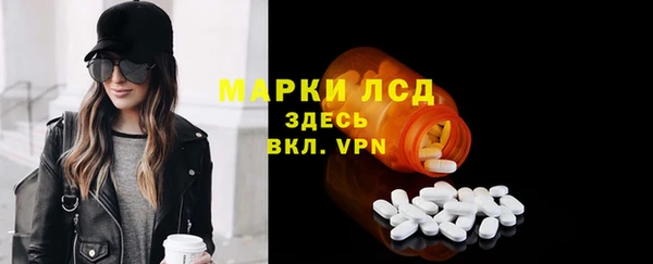 индика Балабаново