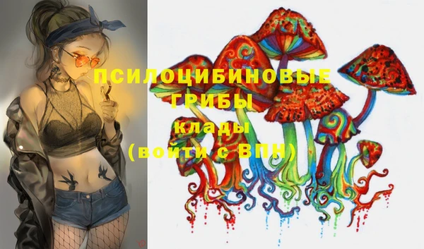 прущие грибы Баксан
