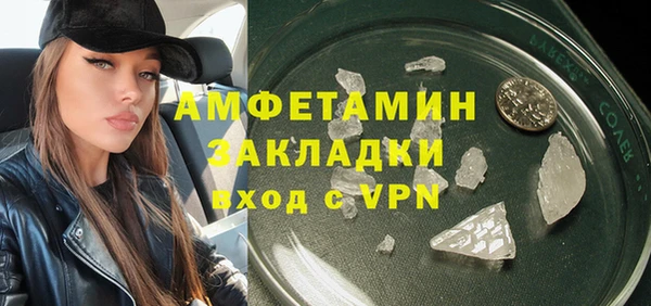 индика Балабаново
