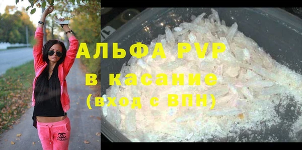 прущие грибы Баксан