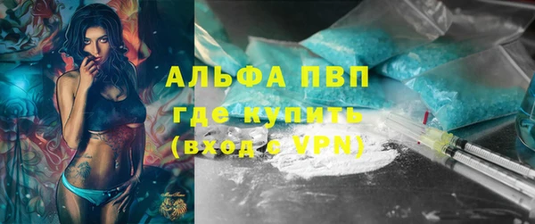 прущие грибы Баксан