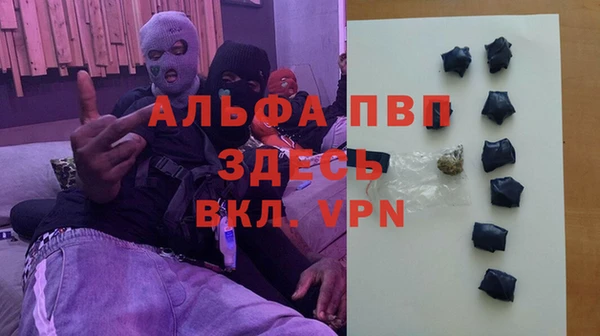 прущие грибы Баксан