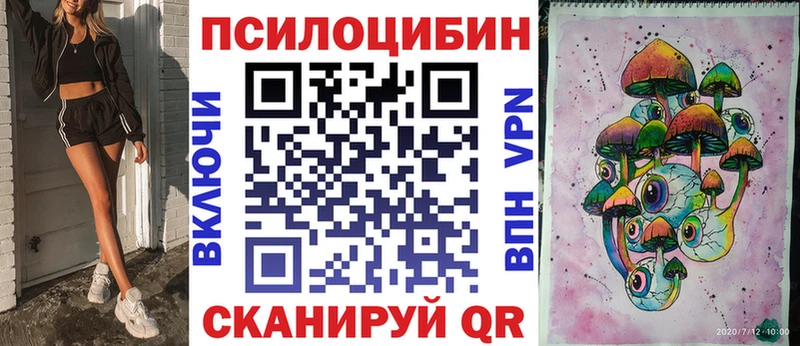 мориарти Telegram  Чудово  Псилоцибиновые грибы Cubensis 
